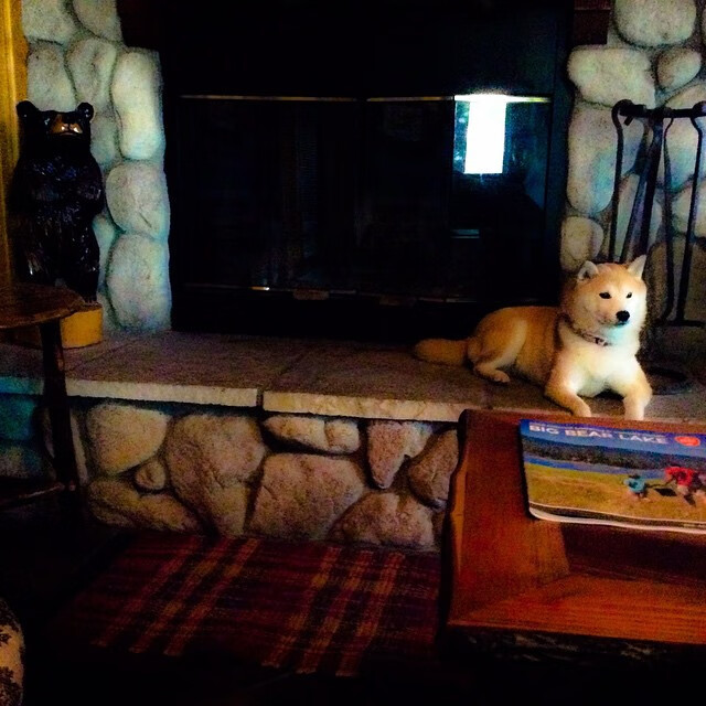 高校体育科技成果孵化路径与转化机制探索,高校体育发展