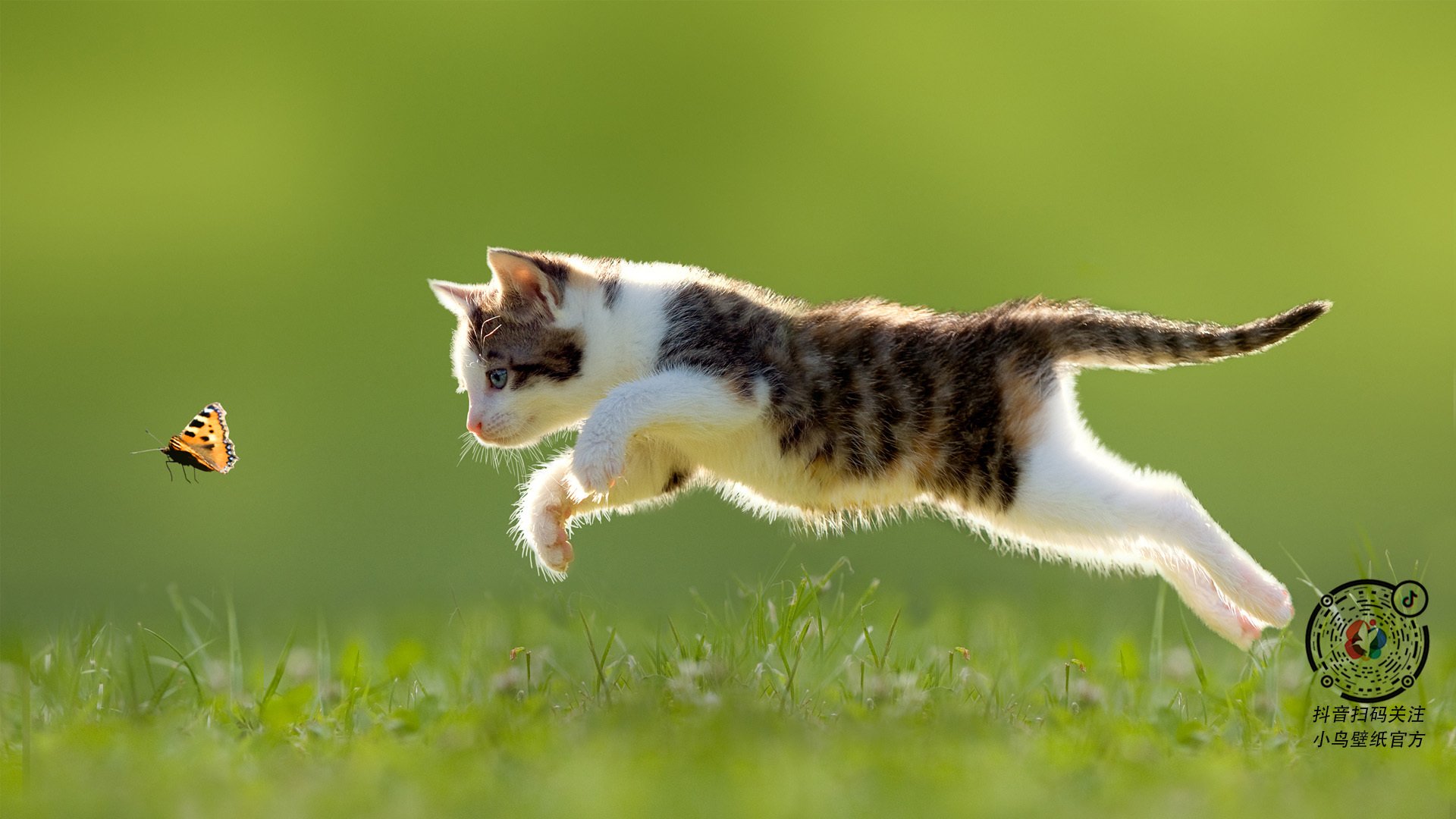 CBA球队推动训练理念全面升级，cba球队推动训练理念全面升级方案