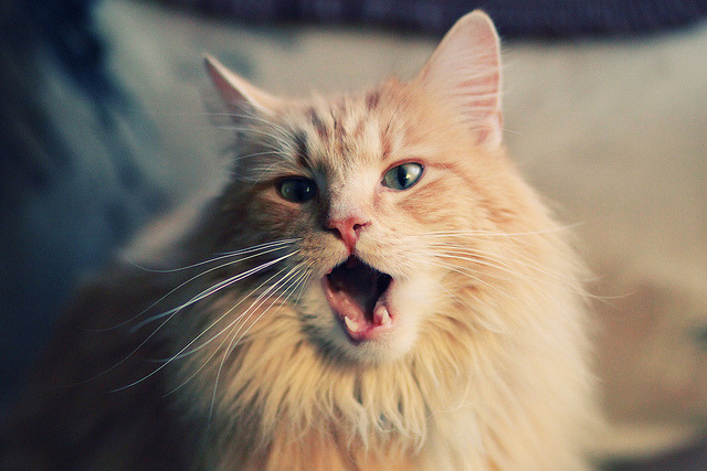 中国男篮全队严守训练纪律，2020-2021赛季中国男子篮球职业联赛纪律准则