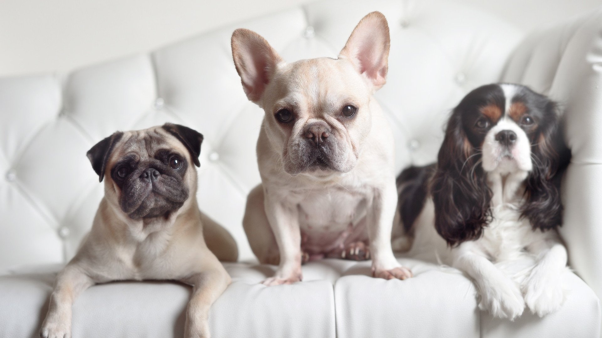 五大联赛是否出现更多以边后卫为突破核心的体系，五大联赛边锋