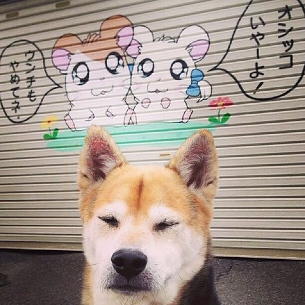 中国足球俱乐部鼓励退役球员参与校园讲座，足球队退役