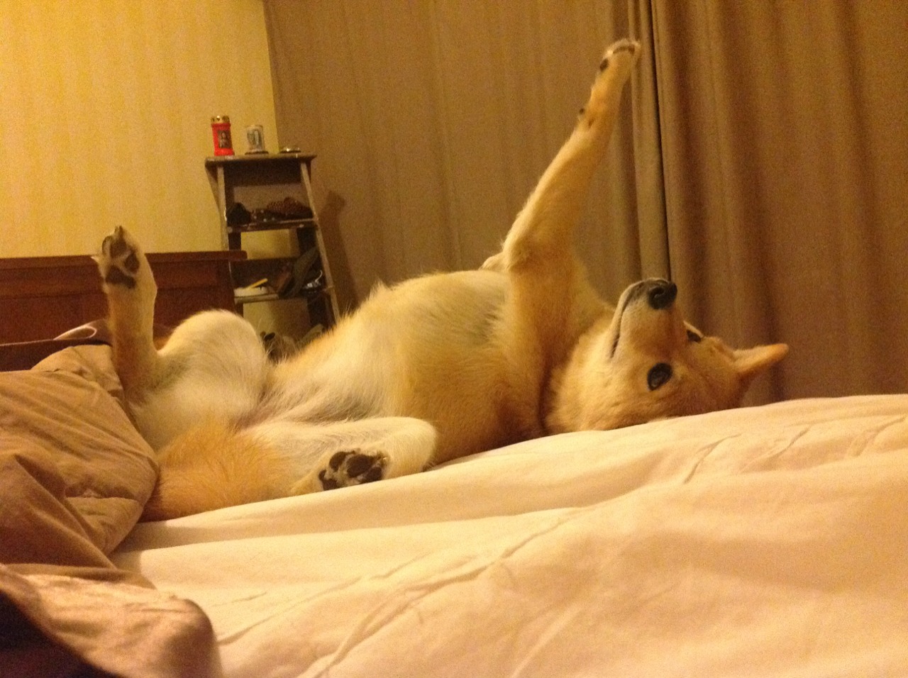 主力球员高强度对抗中保持技术动作稳定展现专业素养,防守球员主动对抗进攻球员