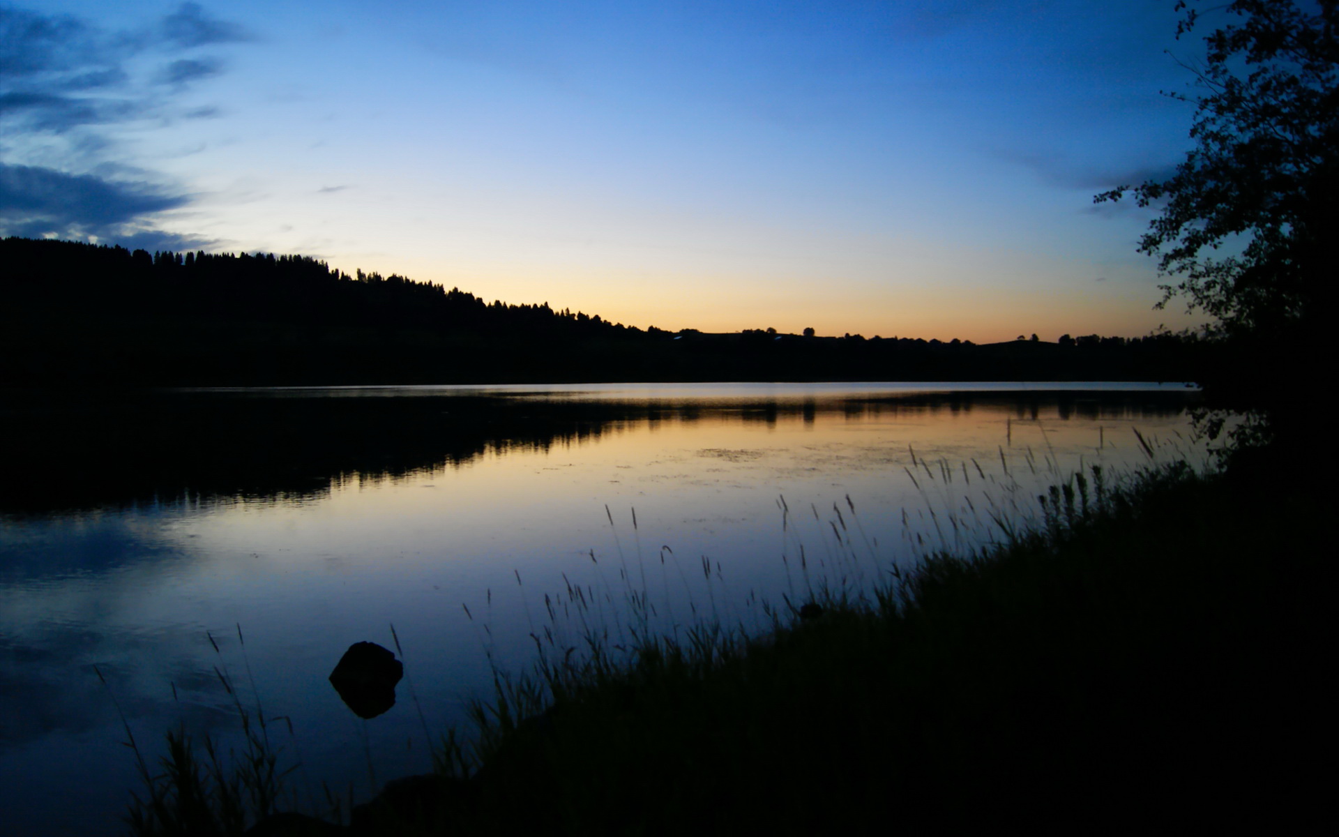 公牛队医介绍球员身体康复新流程更科学，公牛队现状