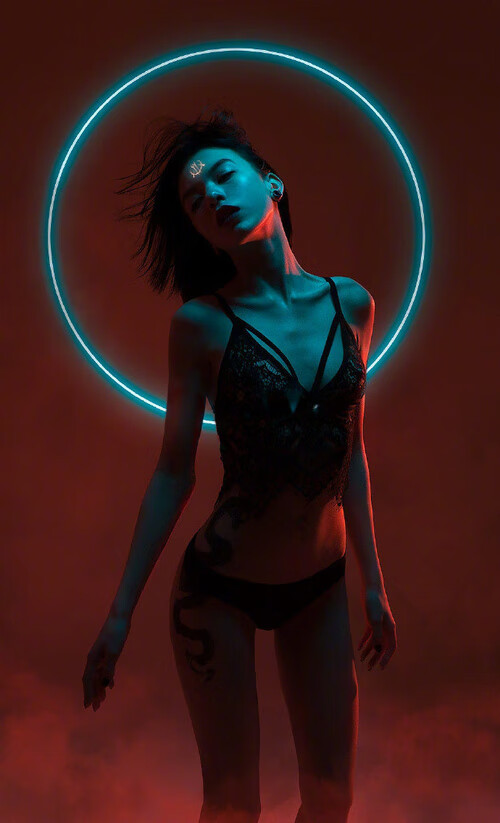 奥地利仰泳强将冲入决赛，奥地利仰泳强将冲入决赛是哪一集